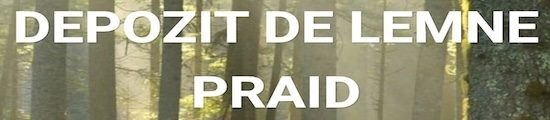 banner-mobile